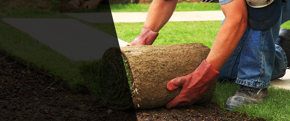 Bridge City Landscapers